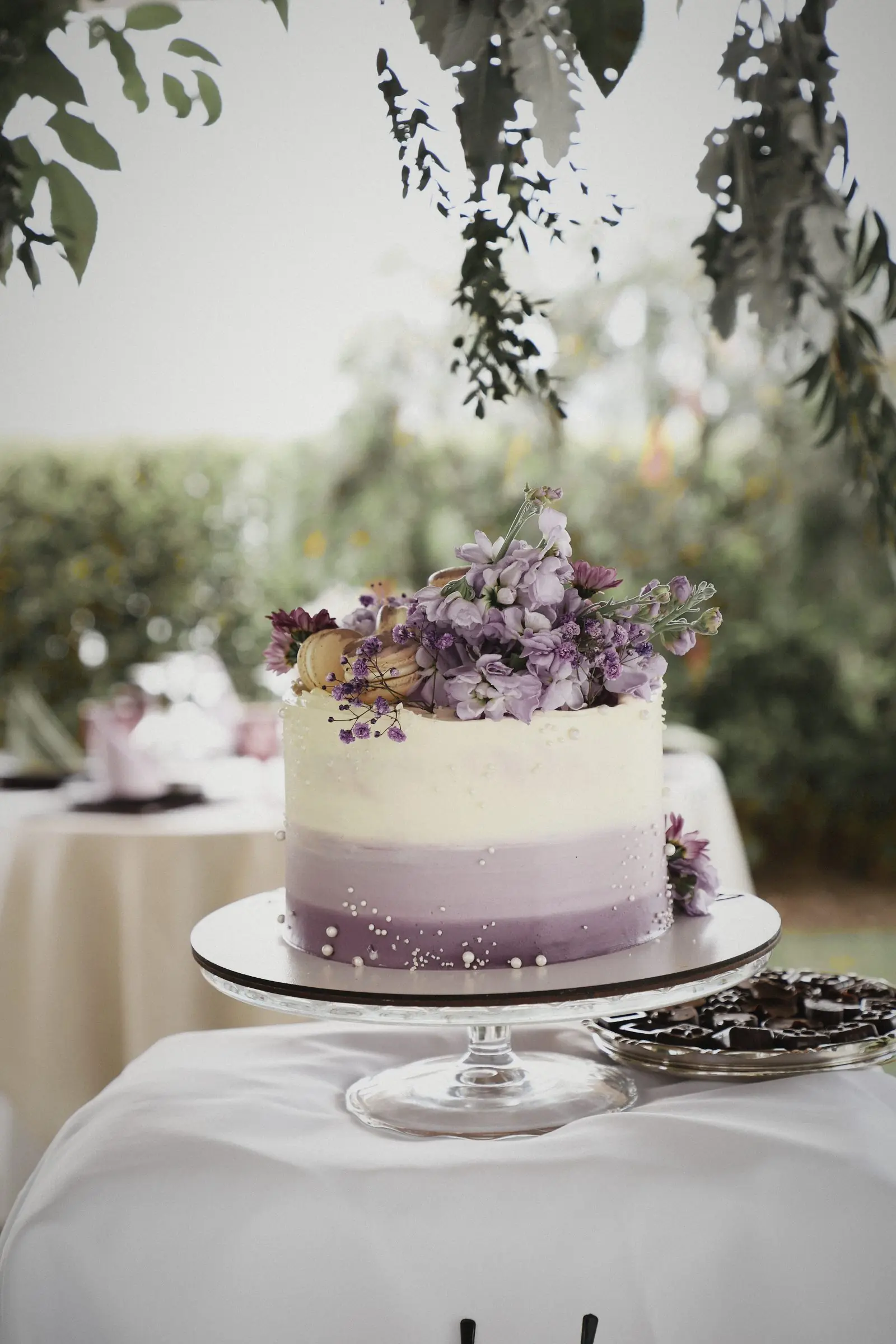 A layered cake topped with violet flowers.